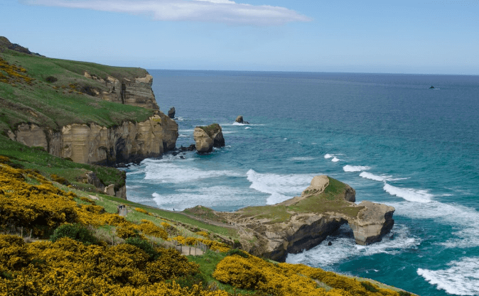 怎么开发新西兰市场？这几个网站非常实用！