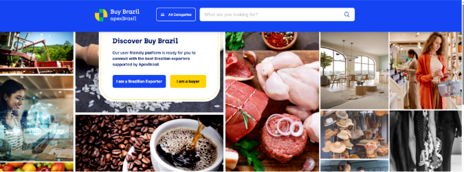 开发巴西市场 开发巴西市场